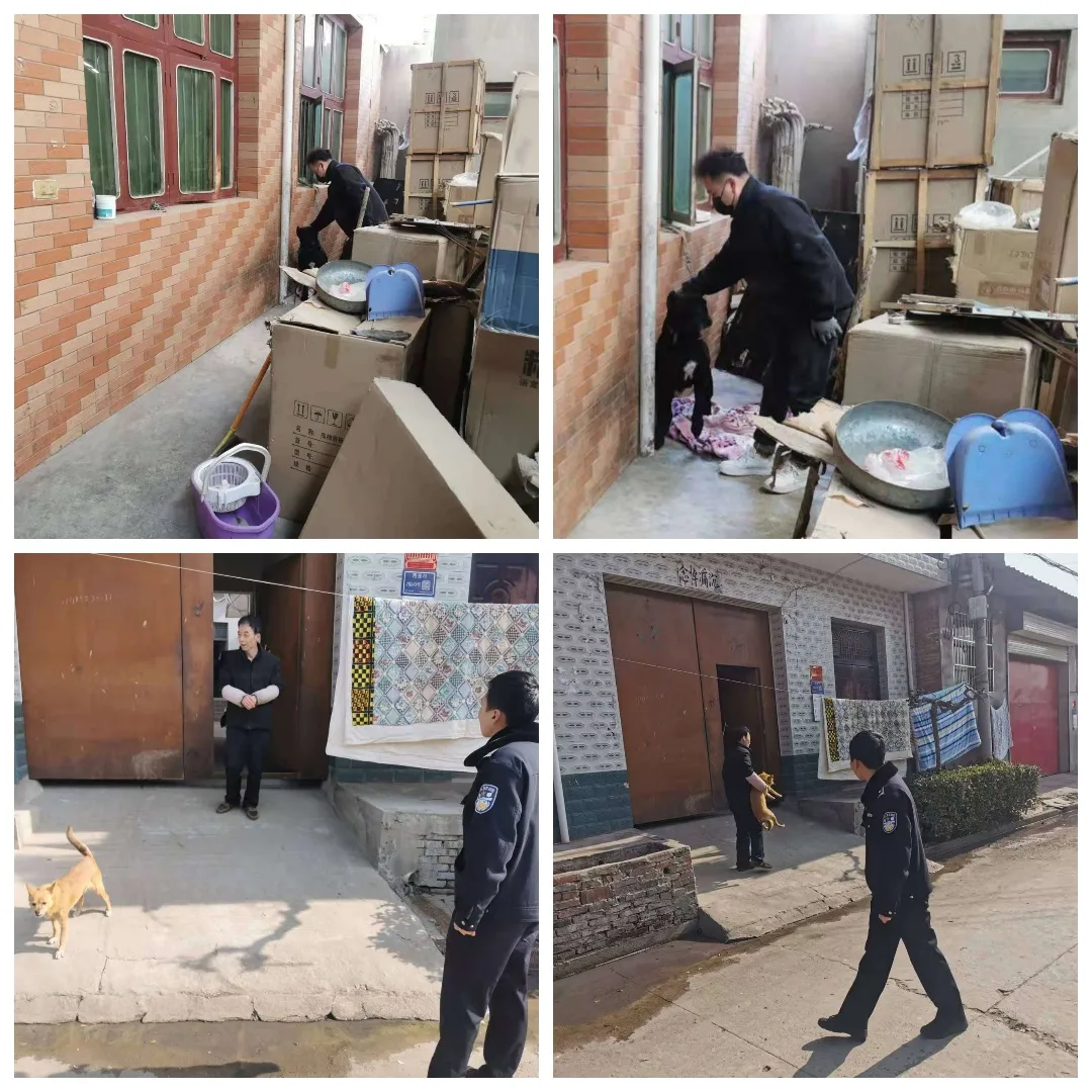 西安市公安局灞桥分局：文明养犬“不掉链”