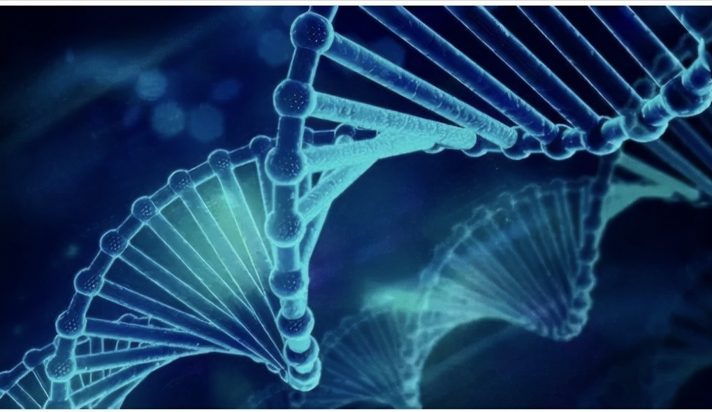 湖南老人车祸去世获赔15万，安葬三年后突然现身，家人：验过DNA