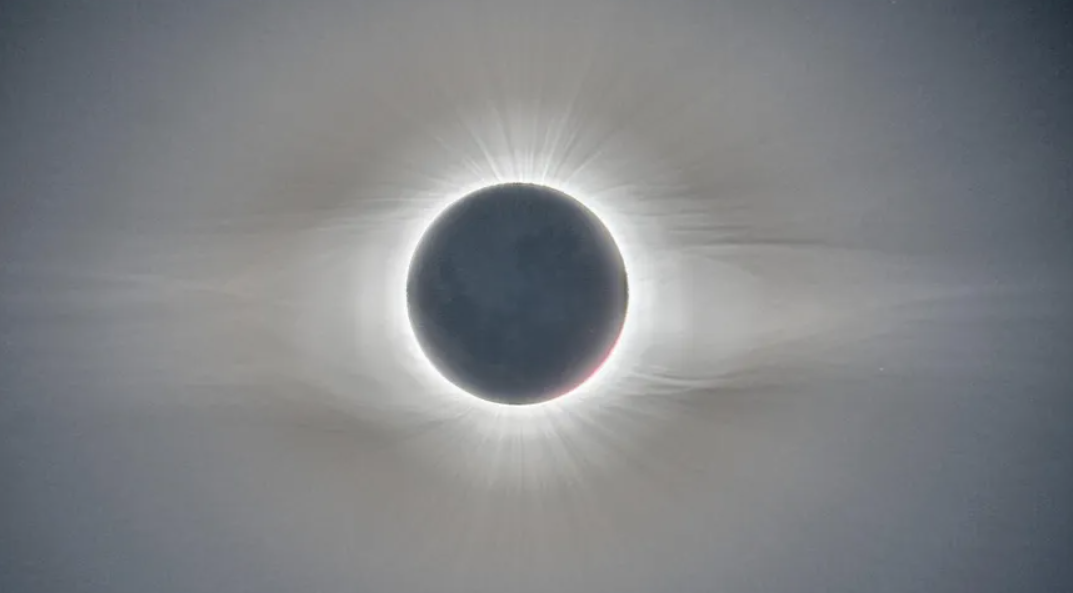 2022����ʳ�����ݣ��칷ʳ��Ϊ�λ����˲�Ը������ʲô�ط��ɼ���