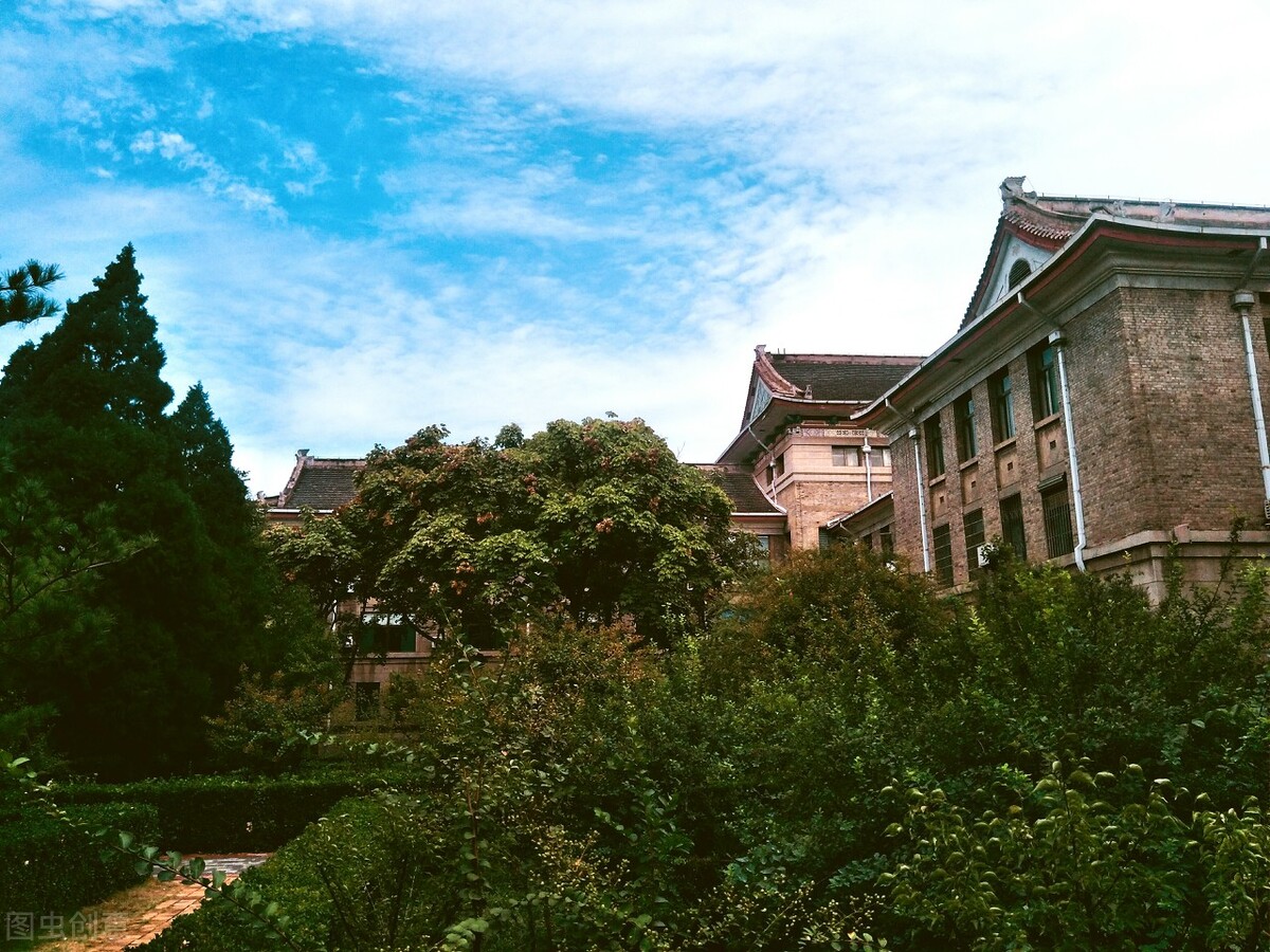 山东省综评报名人数最新出炉，山财大招生最多，青科大竞争激烈