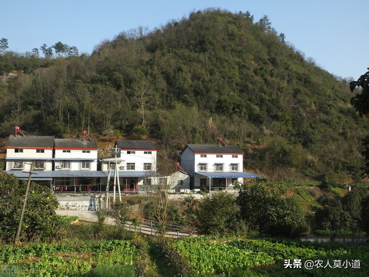 如何在农村里面盖房子，如何申请宅基地？