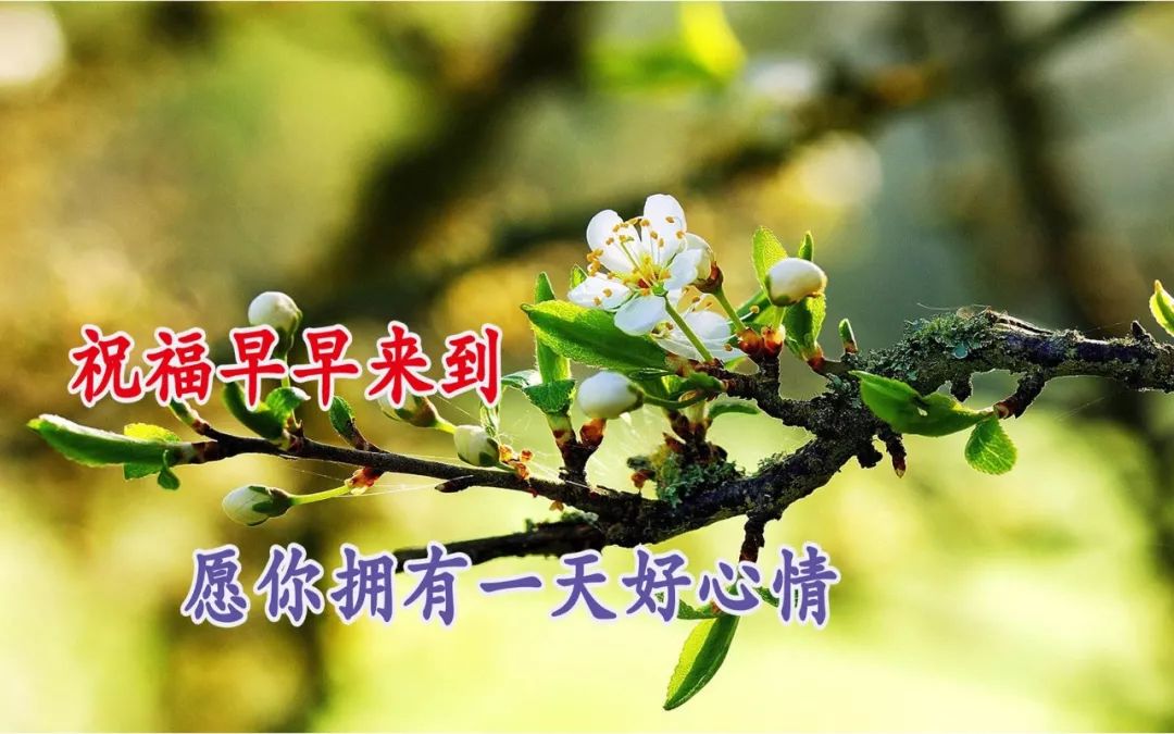 微信精选最美早上好动态图片带字 祝福早早来到 愿你一天好心情图片