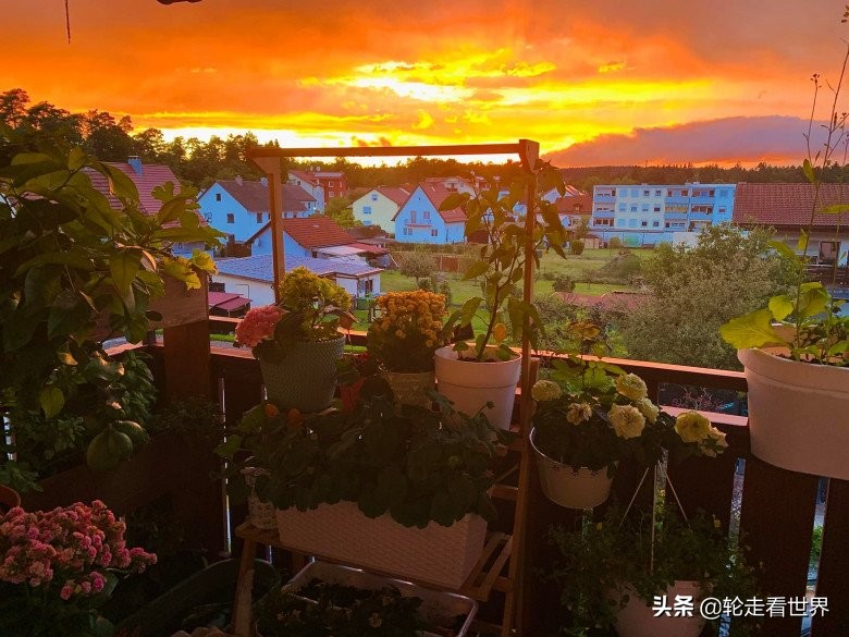 越南妈妈4㎡的小阳台，种各种蔬菜鲜花，每一个角落都美轮美奂