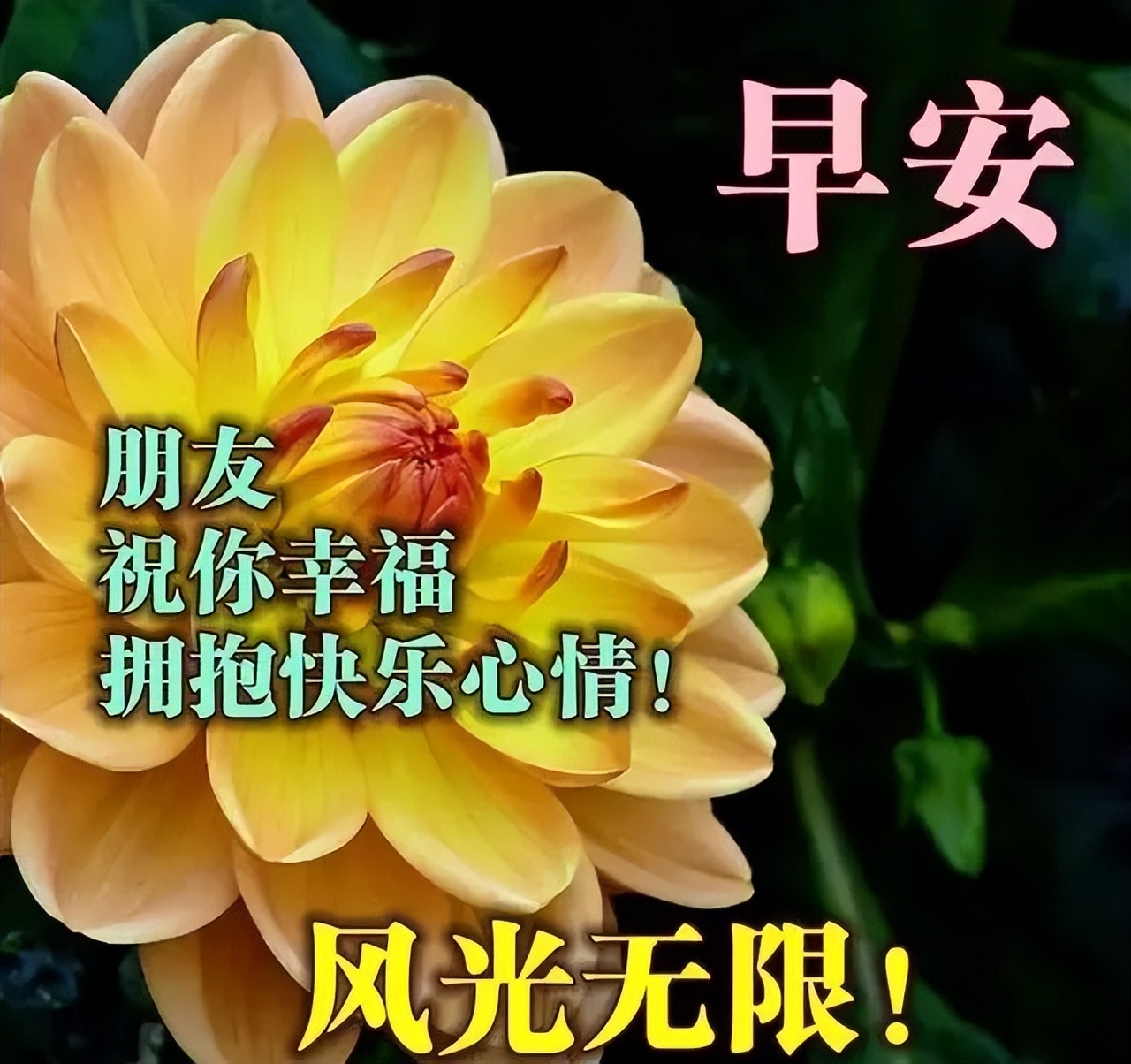 非常漂亮的带字带祝福语早上好图片 朋友，祝你幸福，拥抱快乐心情图片