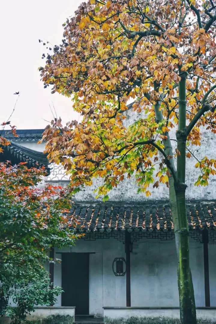 苏州园林特辑 | 待春暖花开之时，相约绝色江南，来一场寻梦之旅