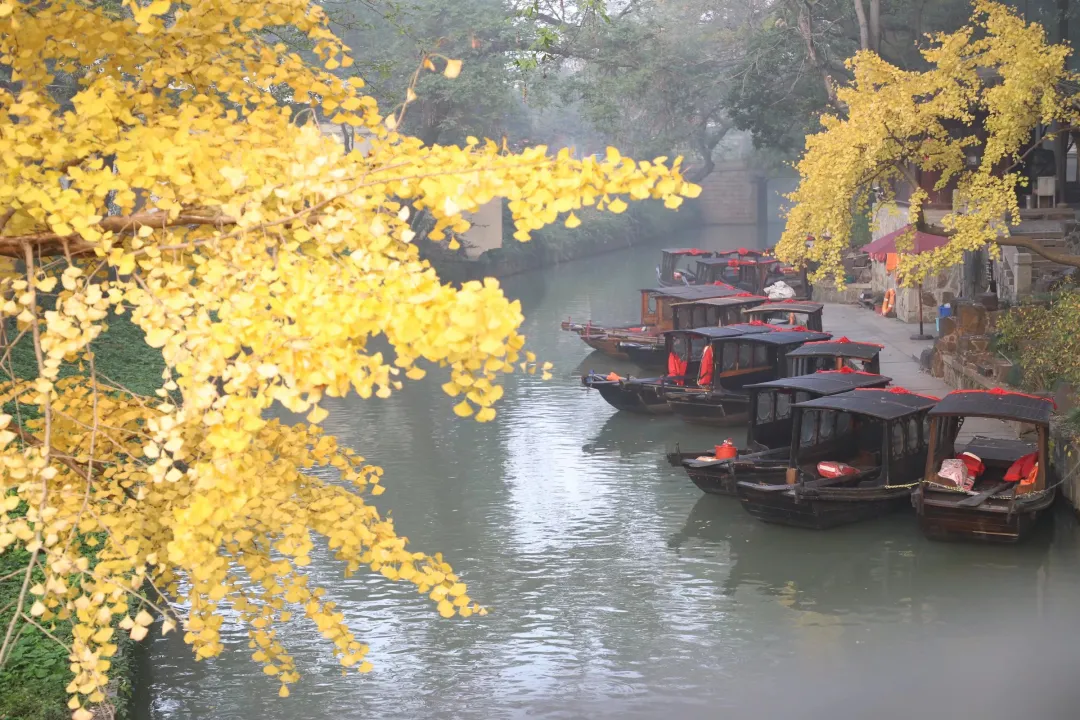 苏州园林特辑 | 待春暖花开之时，相约绝色江南，来一场寻梦之旅