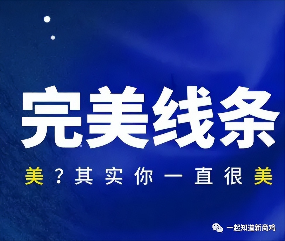 完美线条软件系统商城平台开发