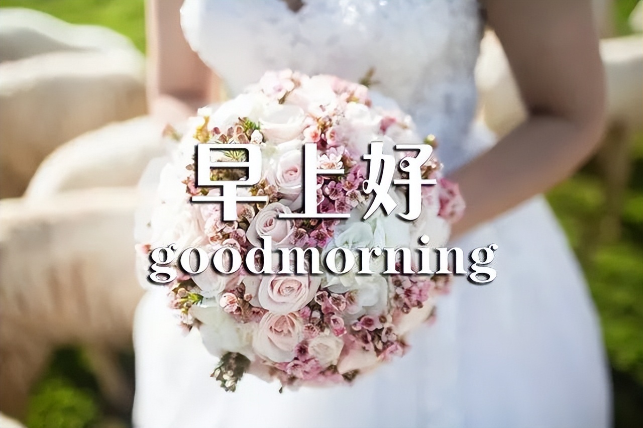 周日清晨早上好问候祝福动态表情图片 美好早晨送你快乐健康图片