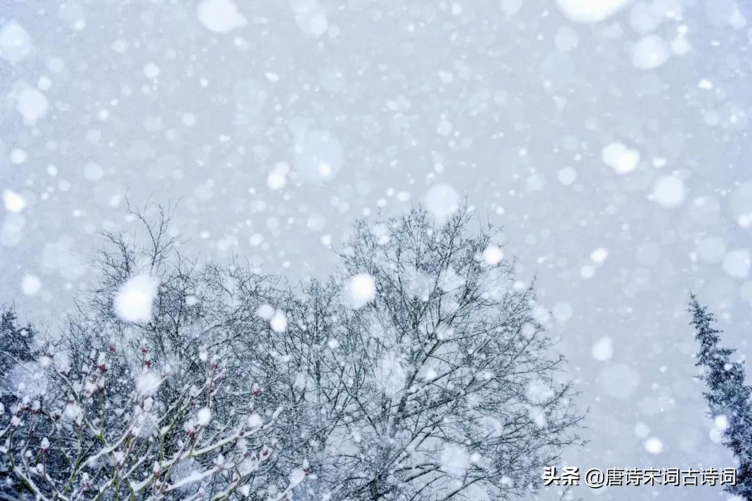 小雪花飘落图片大全图片