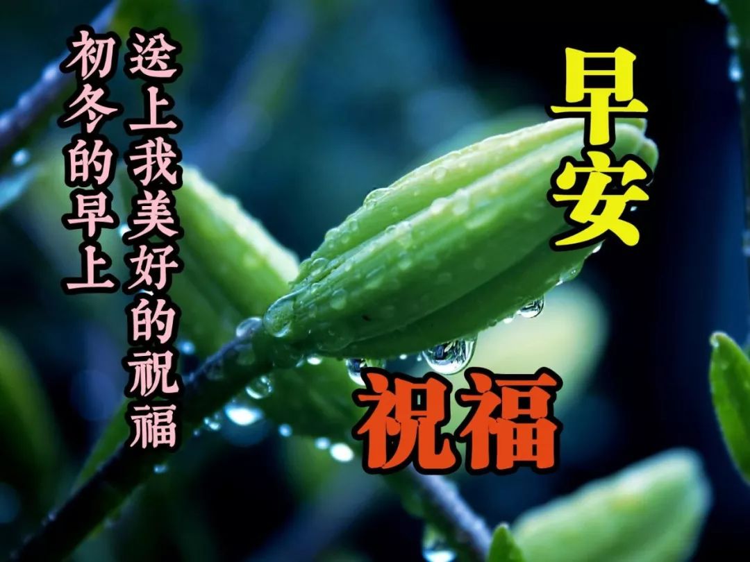 最漂亮早晨好问候语图片带字 怀着快乐的心 寻找开心的路图片