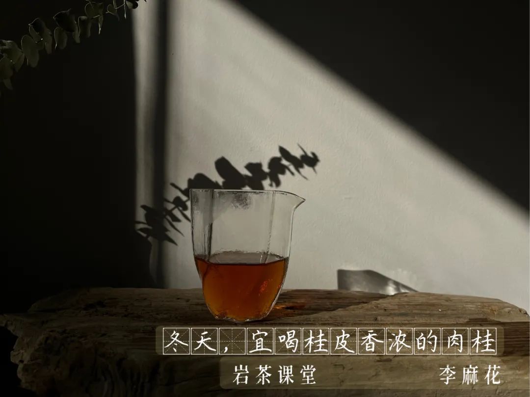 肉桂茶多少钱一斤（肉桂茶属于高档茶吗）