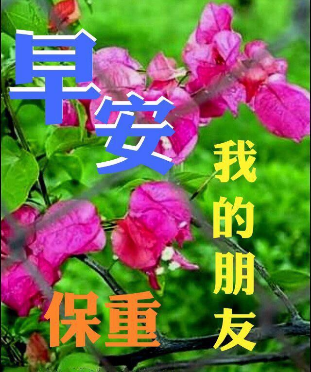 周三早上好朋友圈心情短句 祝你一帆风顺，一生幸福图片