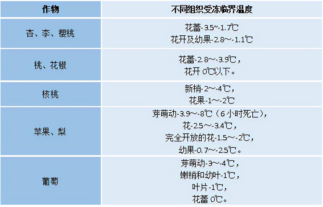 酵素农业技术：酵素菌肥在防治作物低温障碍上的应用