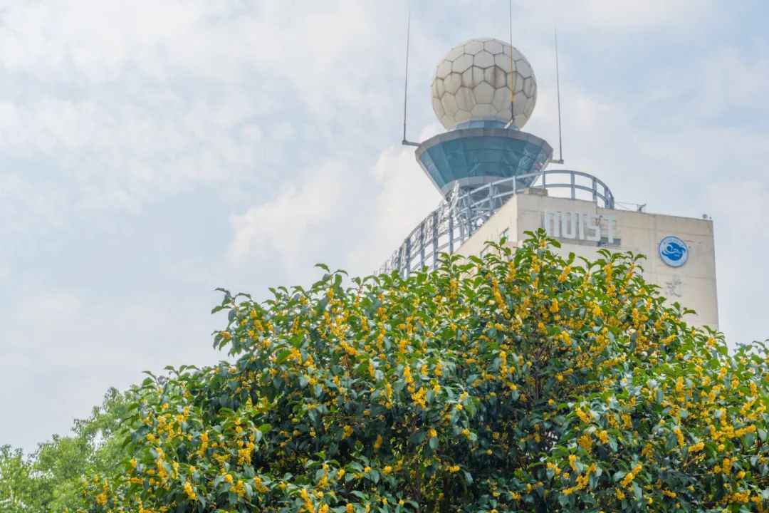 南京信息工程大学发布2022年综合评价招生简章