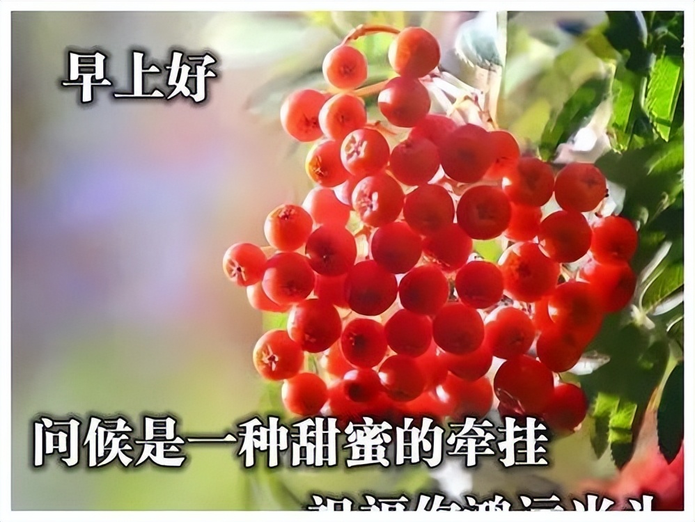 周日早上好祝福语图片 早上好问候句子 早上好天天都有好心情图片