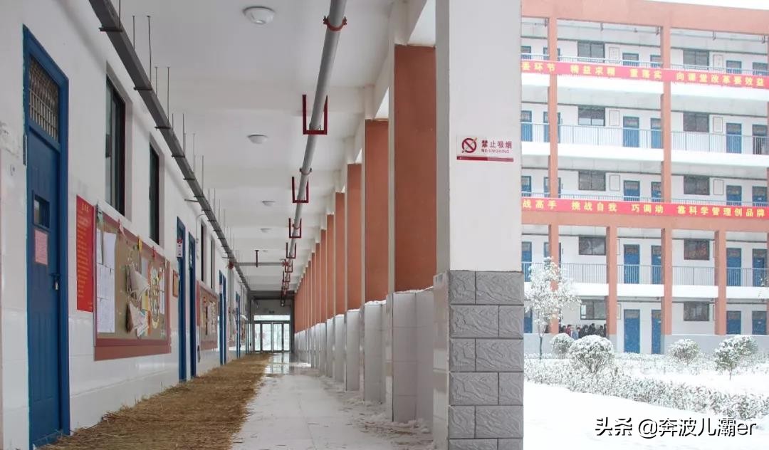 全校第一却意外读了五年高中，农村娃如何在抗争中接纳自己的平凡