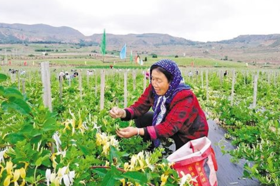 5年前，高考620分，在工地收到录取通知书的甘肃男孩，后来如何？