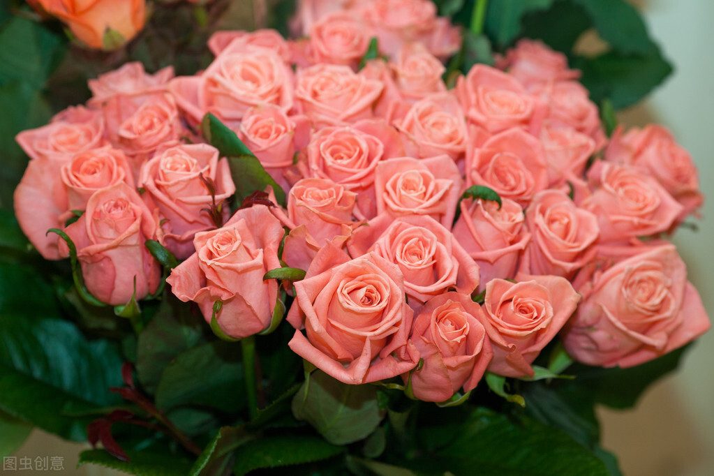 缘似烟花陨灭，情如海天深深，远方的某人，我真的好想你