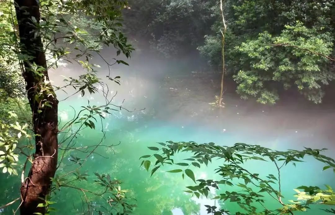 浙大快乐老师“许萌萌”！