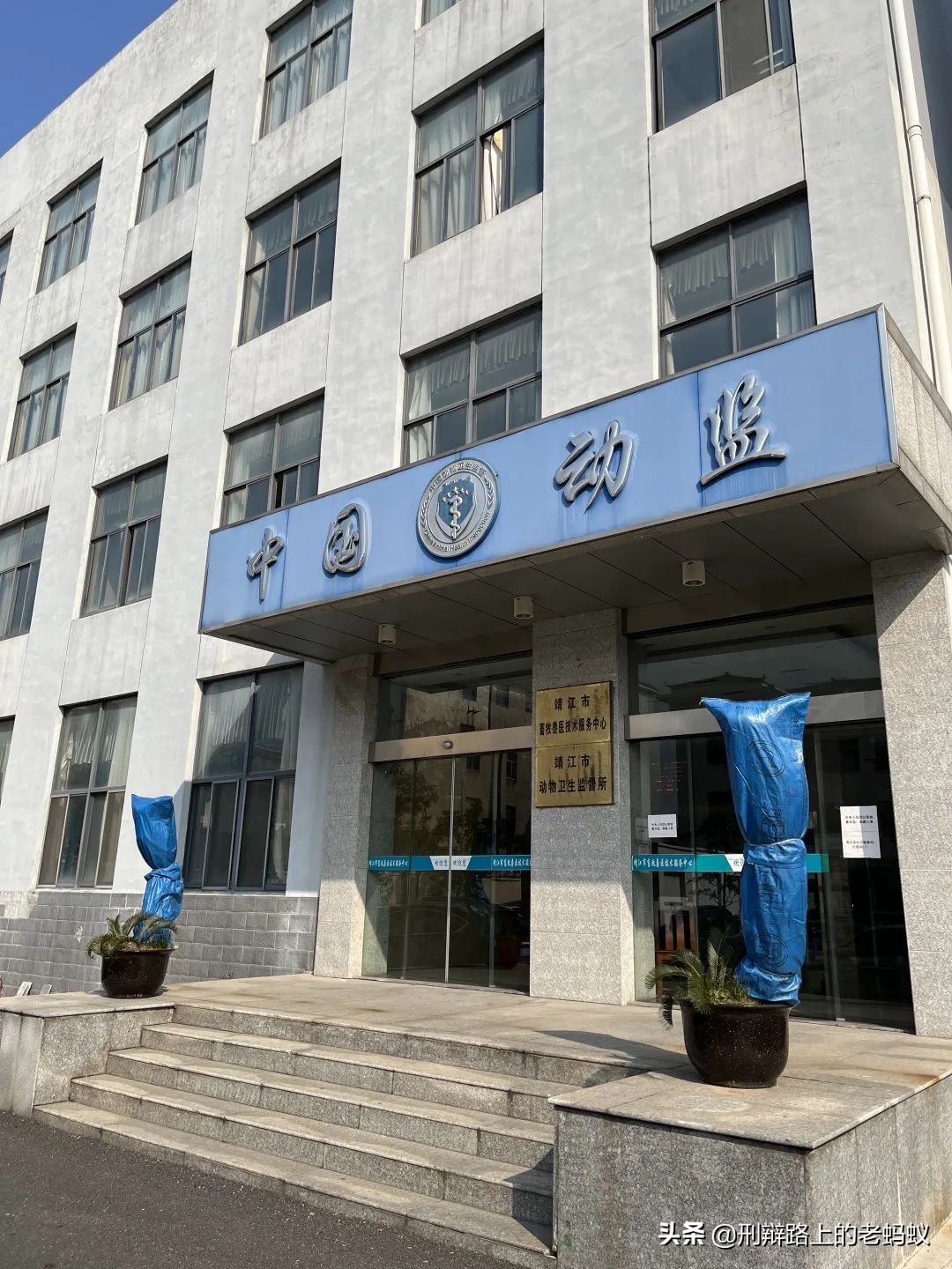 「蚂蚁动态」蚂蚁刑辩团队2022虎年第三周办案周记——奔跑的蚂蚁