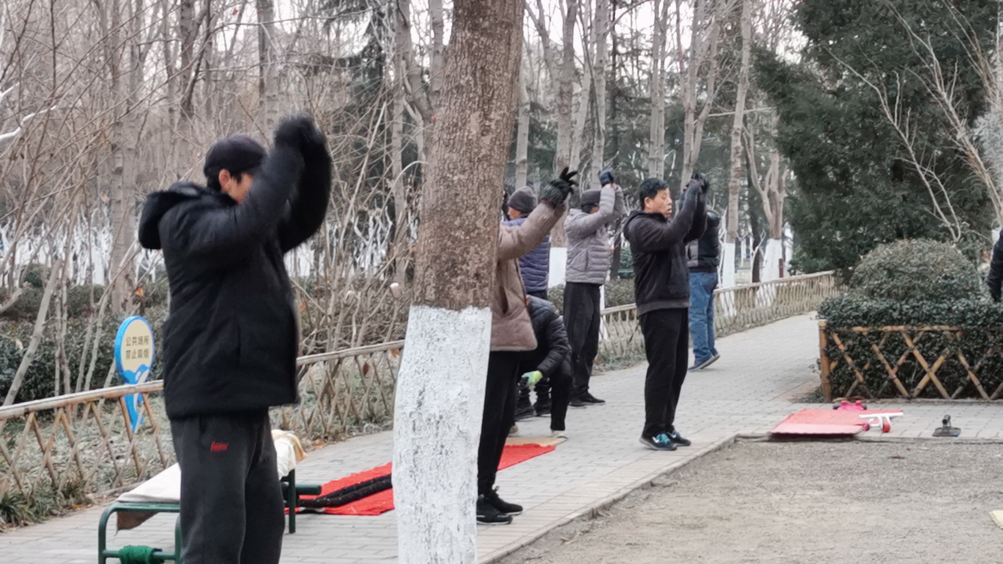 早起一会儿，人生从此不同：早起能遇到7件美好的事