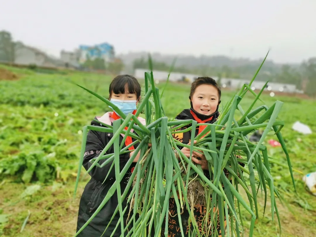 「城南小学•德育工作」小基地大收获 劳动实践快乐多