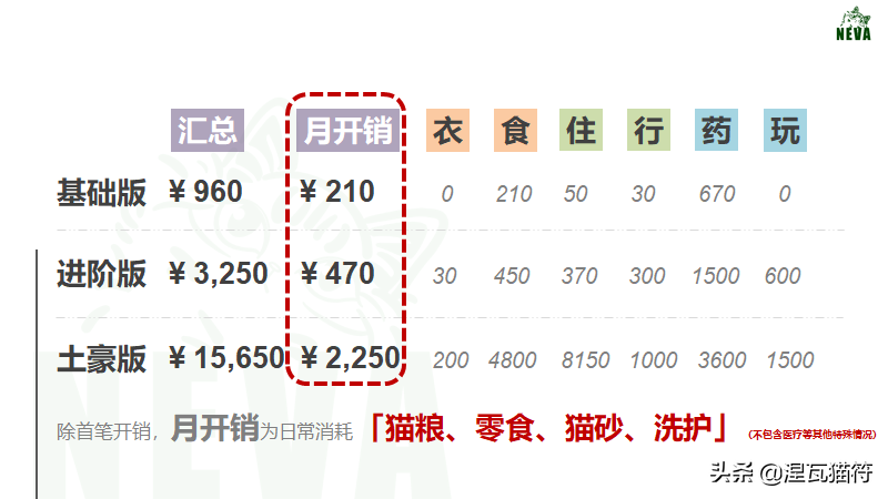 养猫一个月花多少钱？