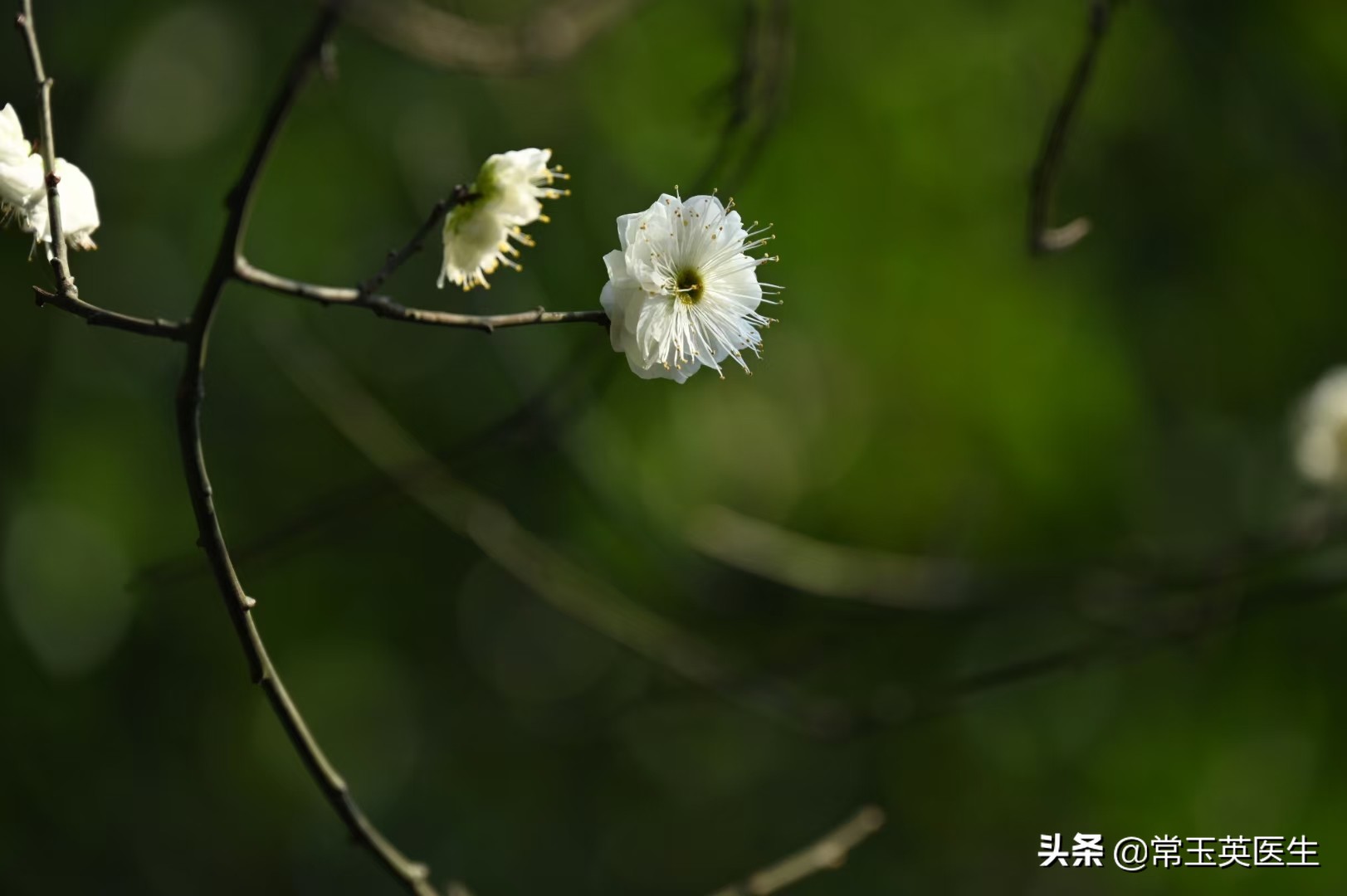 关于天气的古诗句