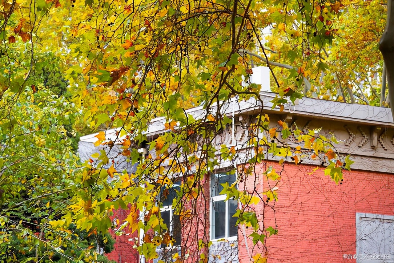 考生纠结：选云南大学还是郑州大学，哪一所更利于自身发展？