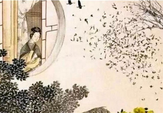 名校美女教授杨雨：我和李清照一样，“好酒、好赌还好色”