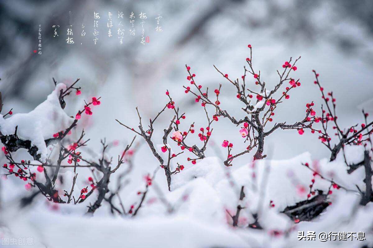 问渠那得清如许：十二首经典的哲理诗，教会我们正确地为人处世