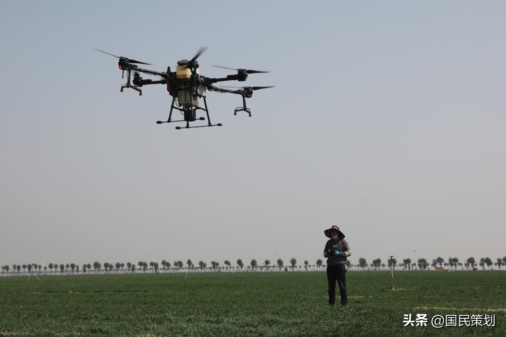 专家：农民不种地农业才能现代化？如此谬论，不接地气，不合时宜