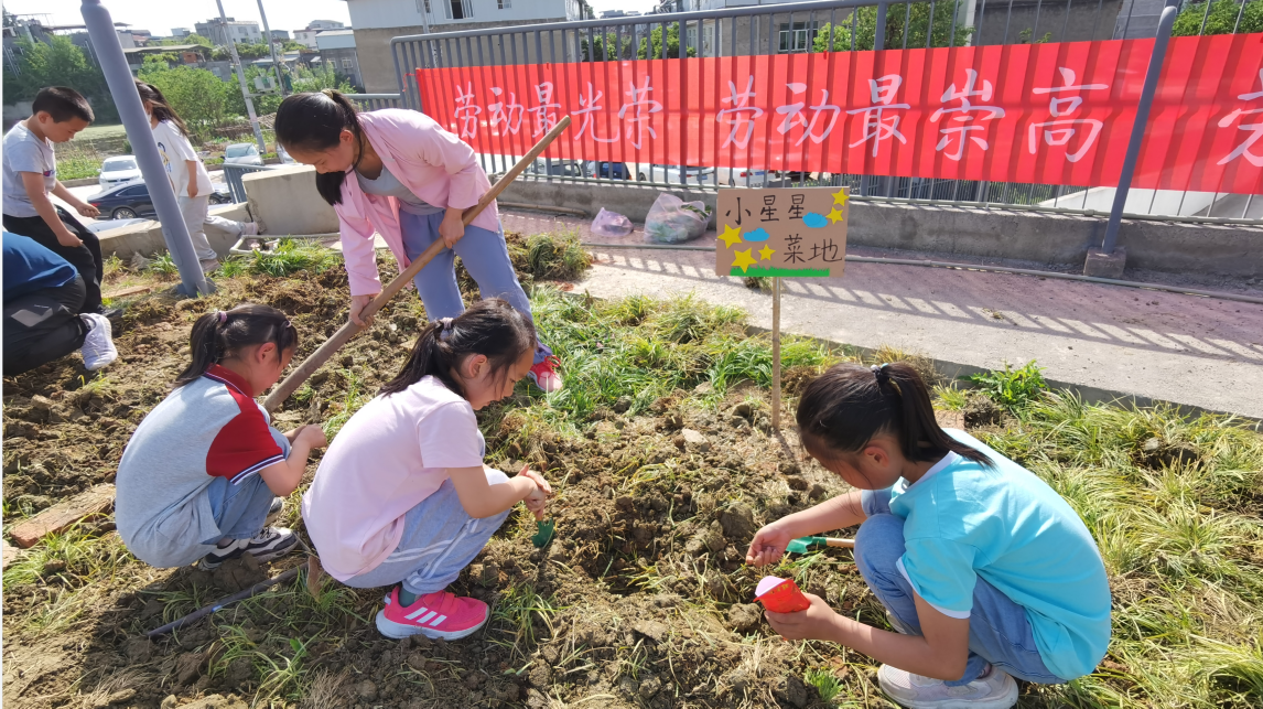 “心与心行 劳动有我”|新兴中学附小开展五一劳动周实践活动