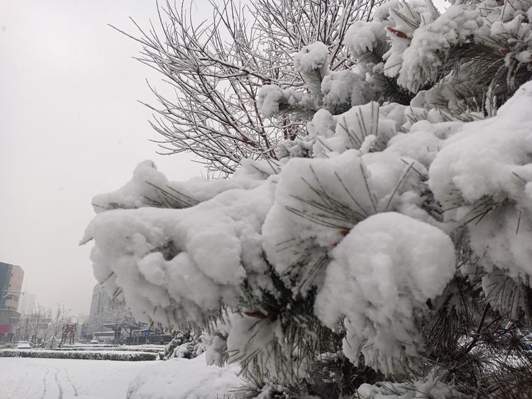 雪花飘落大兴城，这里的春天最美丽 作者：翟基生（快乐人生）