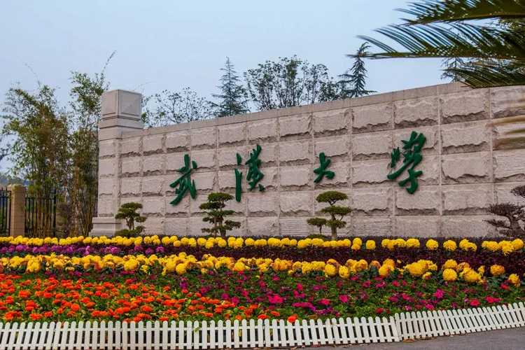 统考查分已开通！湖北美术生考得如何？最好录取大学要多少分？