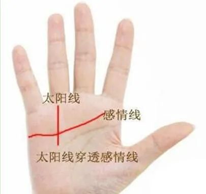 手相面相大全资料