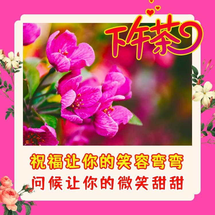 漂亮的下午好祝福美图带字，祝福朋友吉祥如意万事好