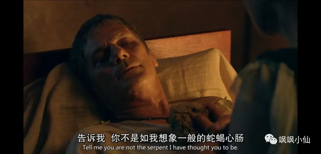 荷尔蒙散满屏，肾上腺飙升的欧美剧和电影四部