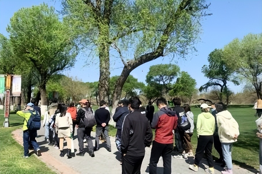 国风牡丹节 慢文化之旅 | 大兴安定御林古桑园媒体品鉴会圆满落幕
