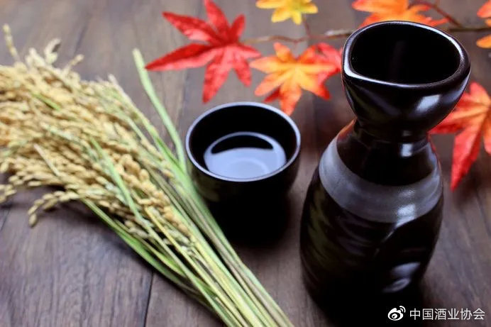 酒境 | 举杯美酒，品味人生