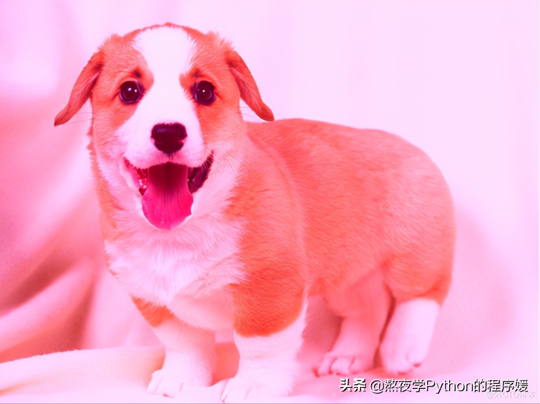 ![Python 细聊一下可以媲美 PS 的 PIL 图片处理库