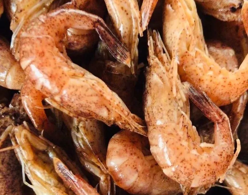 烟台第一鲜"桃花虾"上市,180一斤!错过要再等一年-今日头条