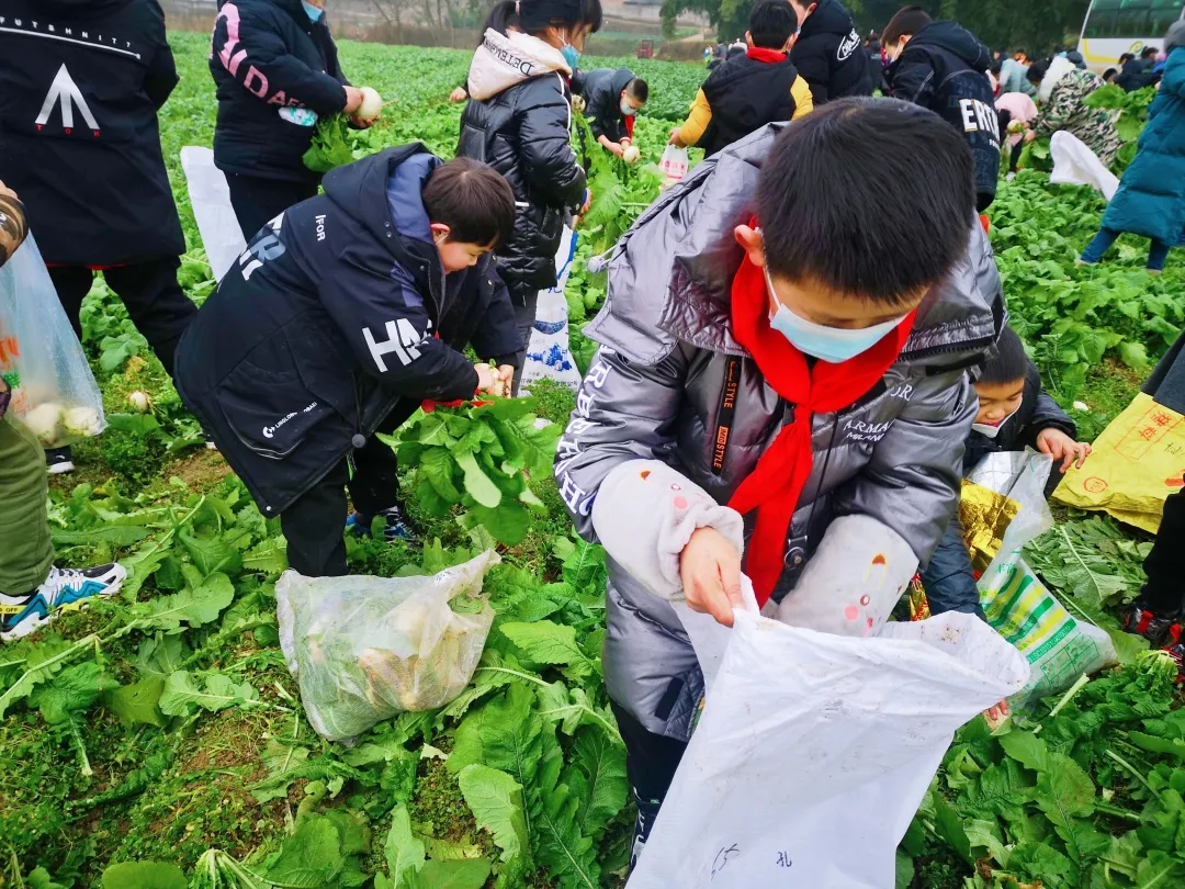 「城南小学•德育工作」小基地大收获 劳动实践快乐多