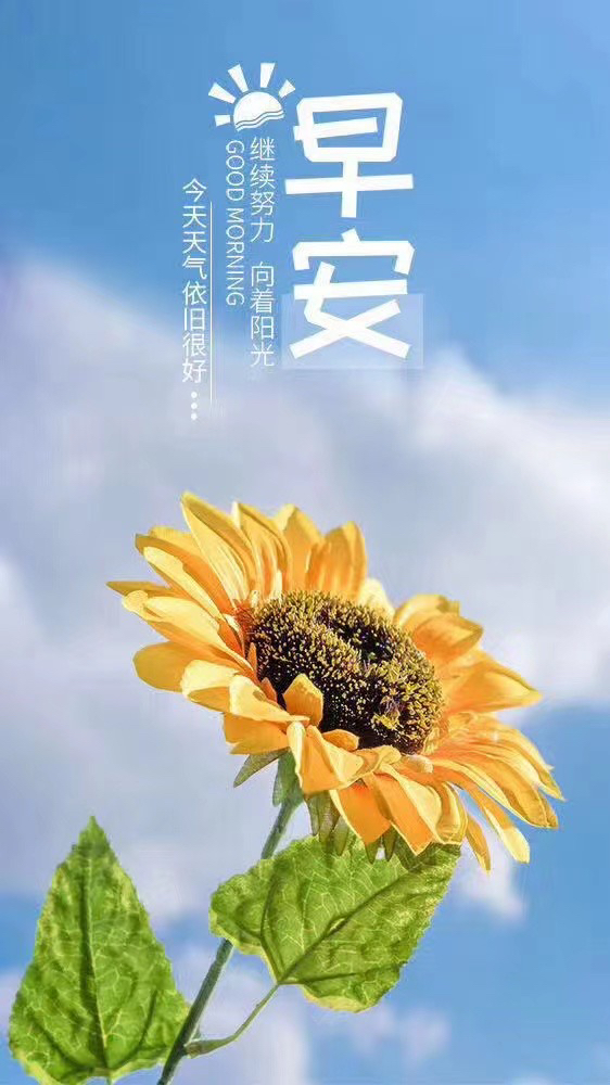 拥抱太阳满满的正能量「拥抱太阳满满的正能量的句子」