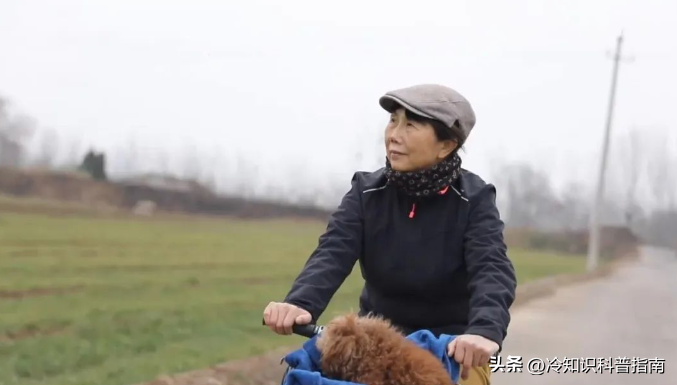中国正迎来最大退休潮：60、70后女性开启第二次人生