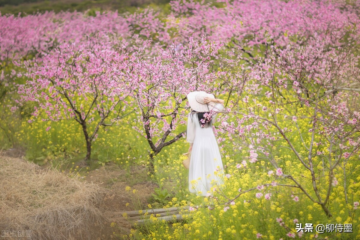 春天与花儿一起拍照，6个摄影口诀，拍摄意境唯美的人像大片