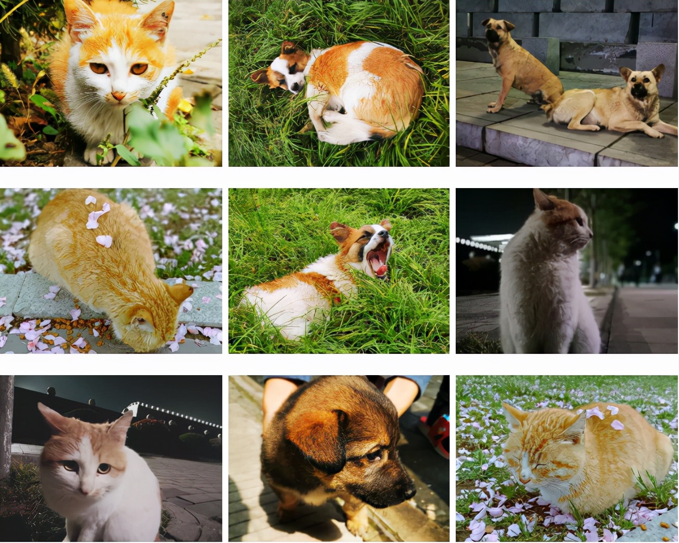 高颜值！陕西这所高校位于特大城市，占地4300亩！网友：风景绝美