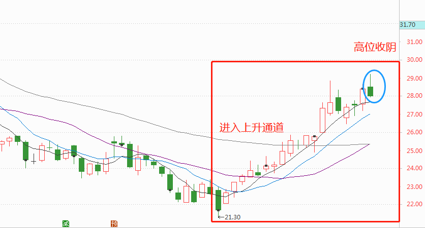 最具翻倍潜力的3只低位龙头股（附基本面技术面分析）