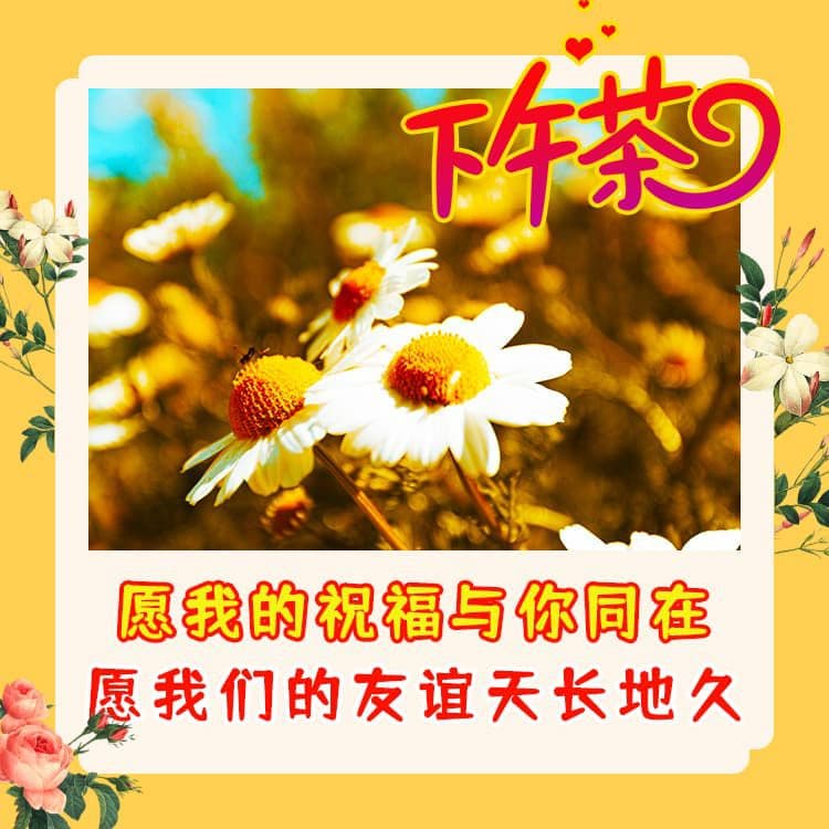 漂亮的下午好祝福美图带字，祝福朋友吉祥如意万事好