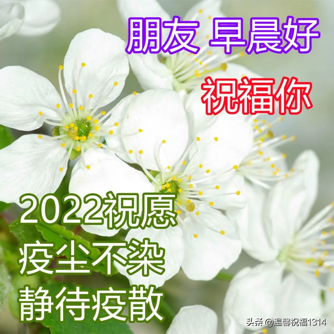 非常时期动态早安祝福 疫情祝福动态表情包文案